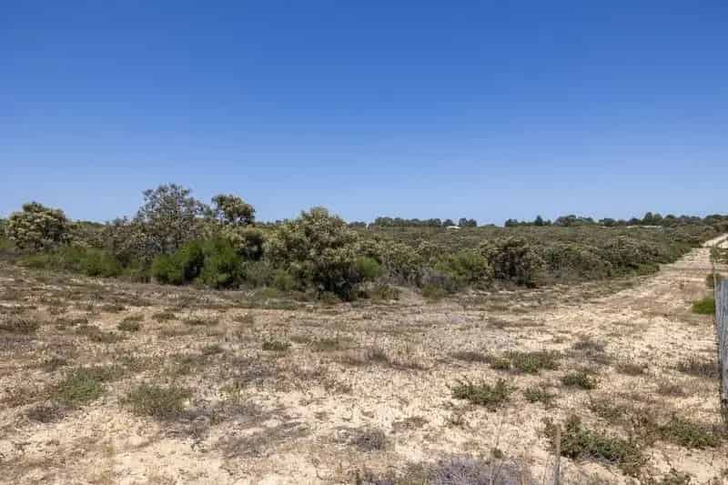 Buy block land in Jurien Bay Heights with beautiful wildflowers