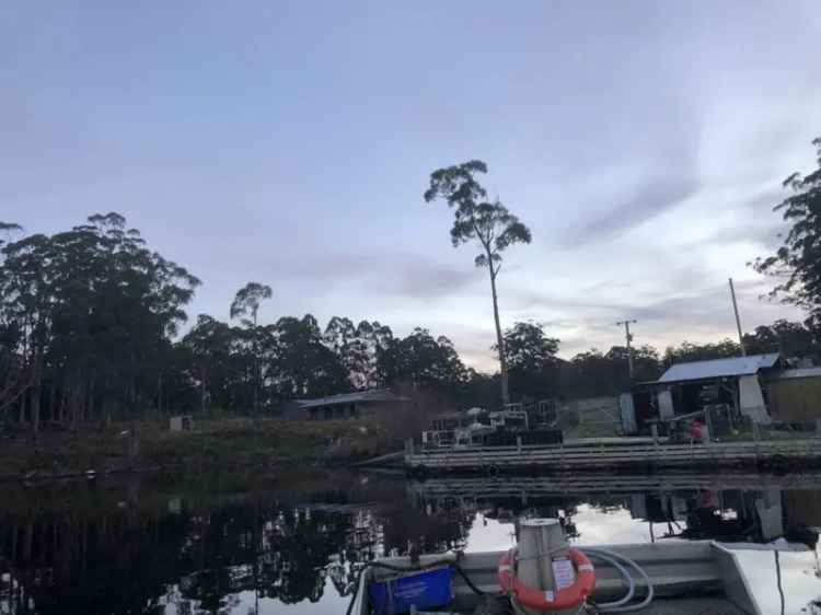 Hastings Bay Marine Farm Lease - Seafood Production Opportunity