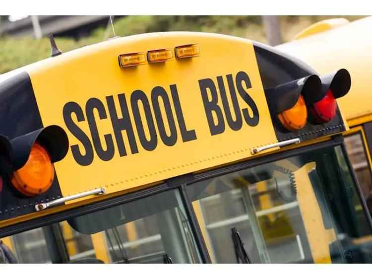 Buy School Bus Run Business in Esk with Great Lifestyle Benefits