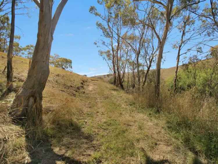 2-Acre Secluded Retreat near Omeo with Farmland Views and Creek Frontage