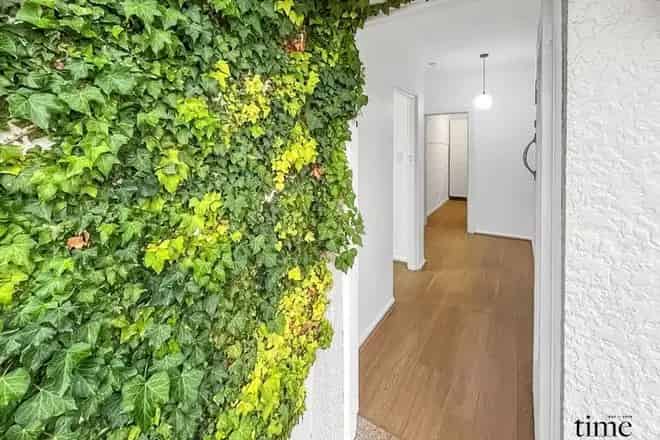 House For Rent , Sydney, New South Wales