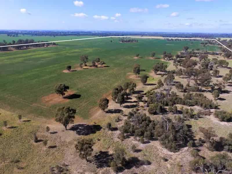 Buy rural property near Numurkah with arable farming land and timber features