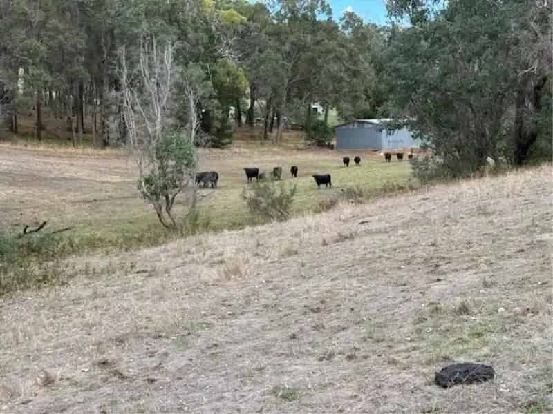 Rural property For Sale , Shire Of Donnybrook-Balingup, Western Australia