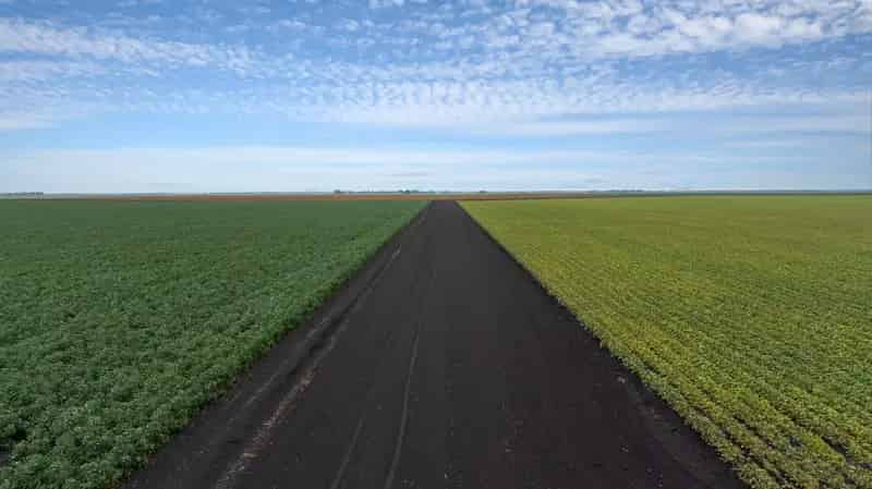 "Janerin Aggregation" The Home of Irrigation on the Darling Downs