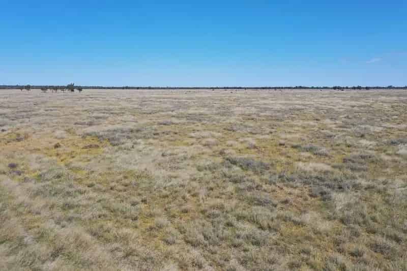 Buy rural property farm in St George with grapes and water licence