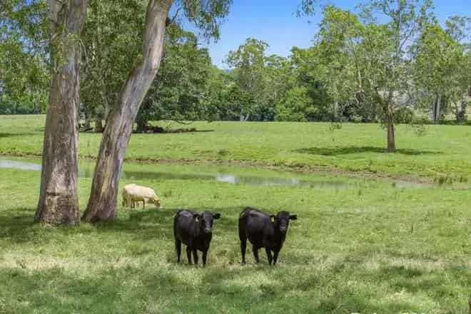 Land For Sale , Kyogle Council, New South Wales