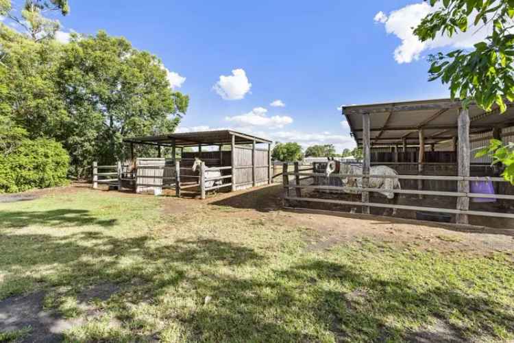 Buy rural property in Dalby with equine facilities and charming homestead