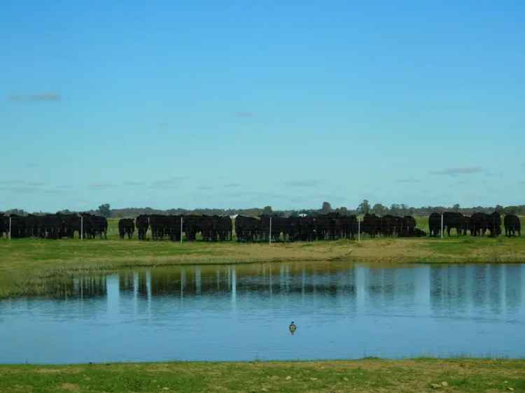 Farmland Irrigation