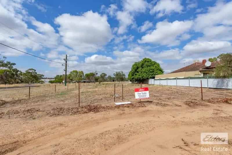 Dream Home Opportunity on a Generous 1012m² Block