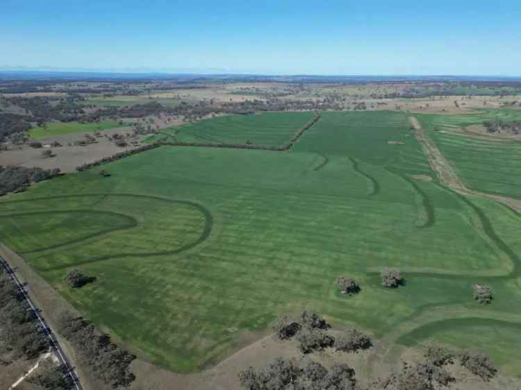 Buy Mixed Grazing and Cropping Property in North West New South Wales