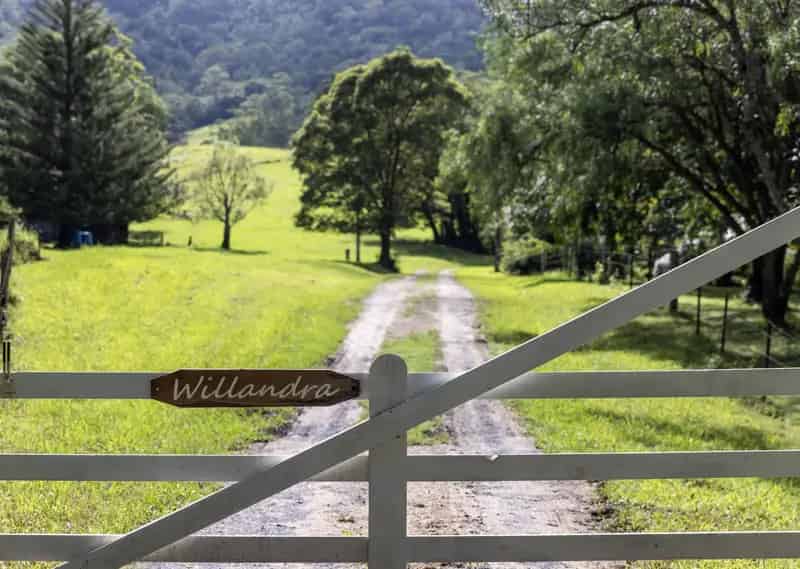 Buy House in Hillandale with Tree House Charm and Scenic Acres