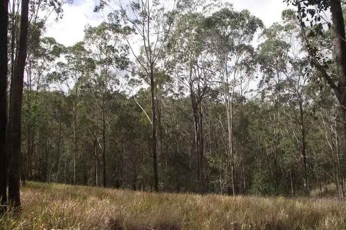 Land For Sale in Gympie Regional, Queensland