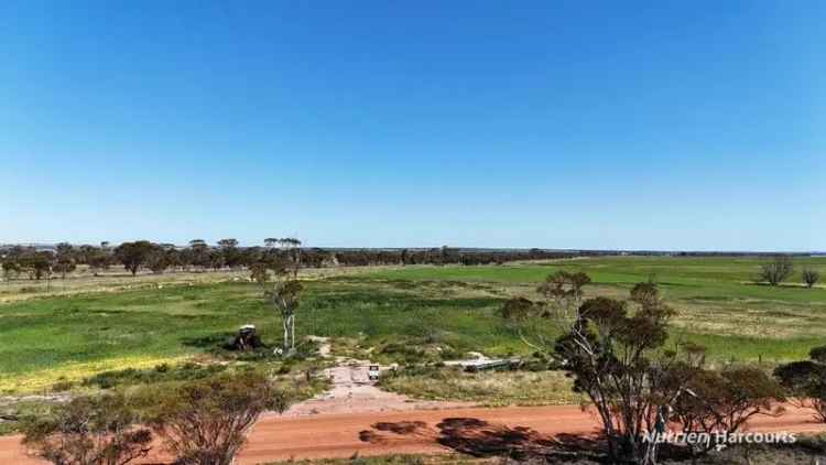 LIFESTYLE BLOCK CLOSE TO NAREMBEEN TOWN