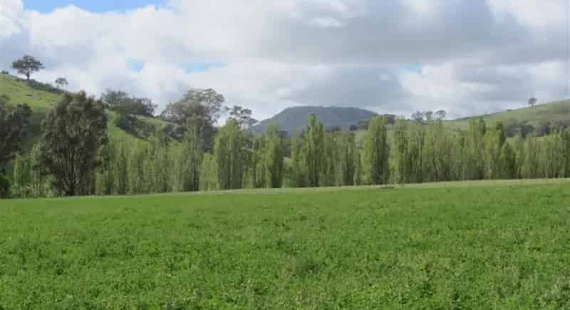 Rural property For Sale , 248, Sheans Creek Road, Shire of Strathbogie, Victoria