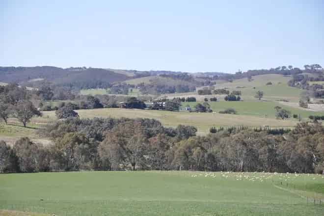 Land For Sale , Stroud Road, New South Wales