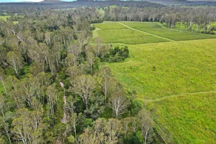 Buy 72 Acre Fertile Starter Block with Crops Near Gympie and Maryborough