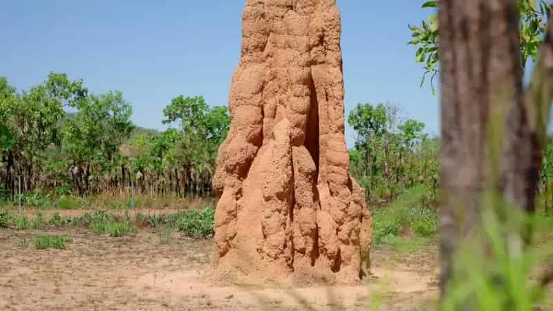 Land For Sale , Northern Territory