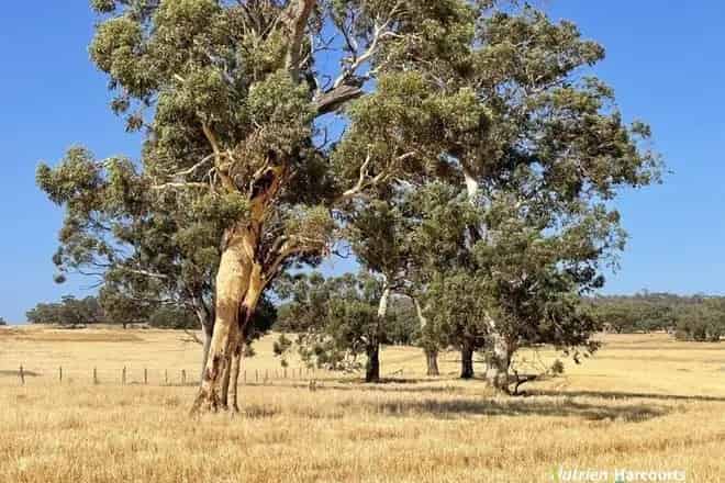 Rural property For Sale , Toowoomba Regional, Queensland