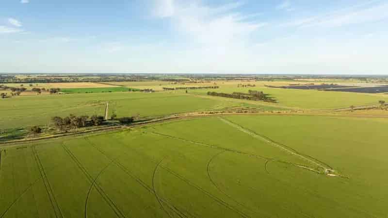 For Sale Large Scale Irrigated Cropping Portfolio in Rochester Victoria