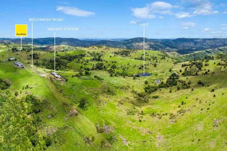 Buy Land in Gold Coast Hinterland with Breathtaking Views and Cattle Lease