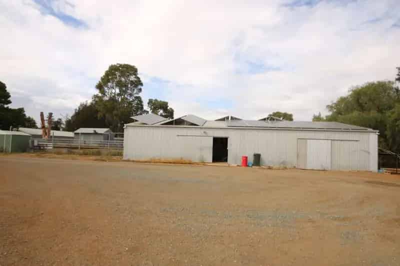 Buy rural property in Lockington with two homes and dairy facilities