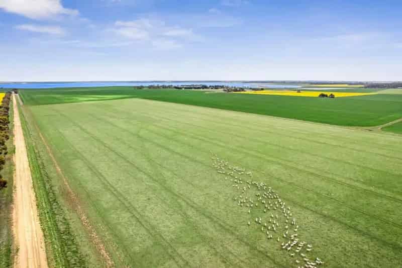 buy rural property grazing cropping Black Hill Farm Victoria