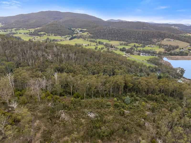 Buy Land Near Cygnet with Stunning Water Views and Native Vegetation