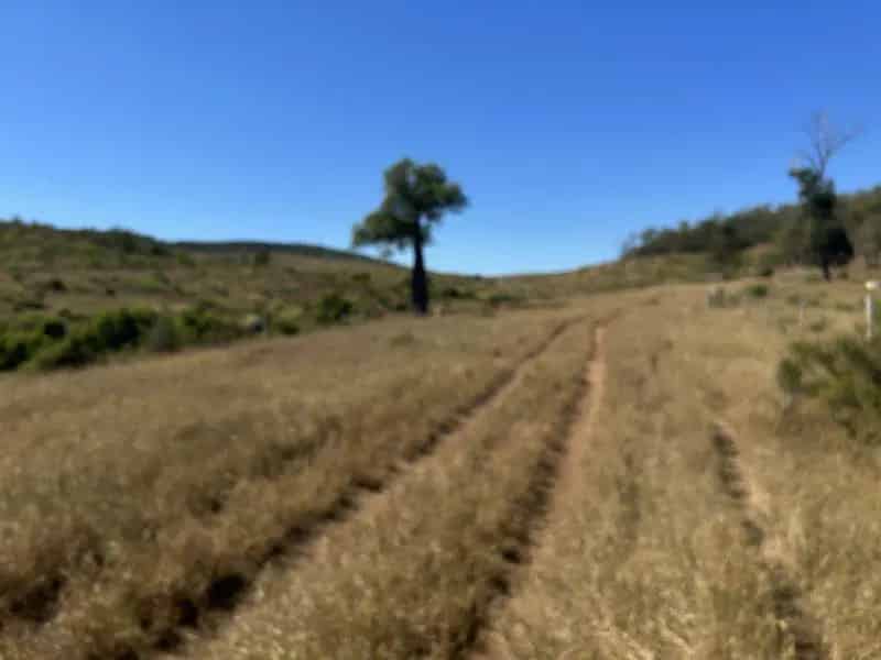Buy rural property breeder fattening in Duaringa QLD with excellent features