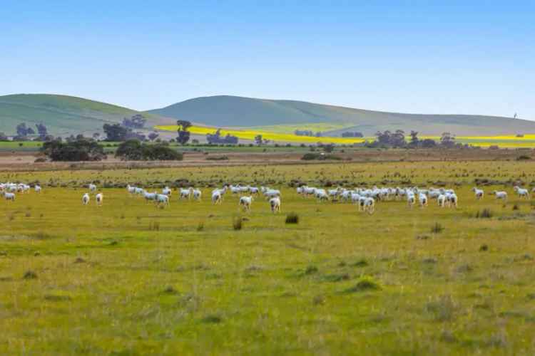 For Sale High Quality Grazing Opportunity in Smeaton Victoria