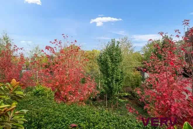 House For Sale , North Canberra, Australian Capital Territory