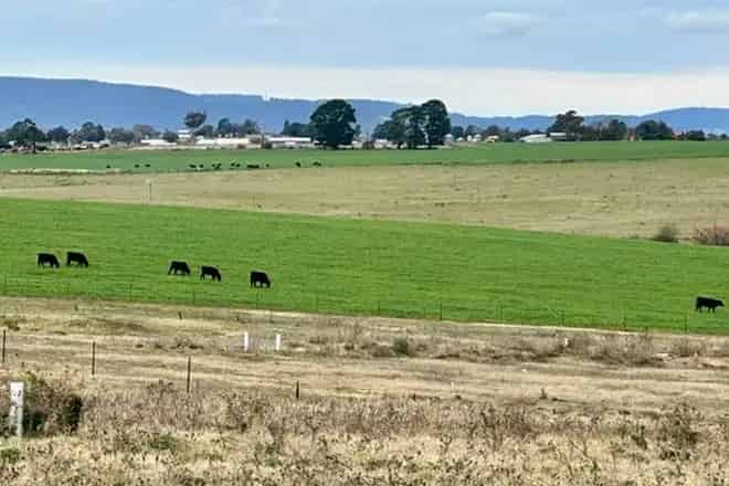 Land For Sale , Bathurst, New South Wales