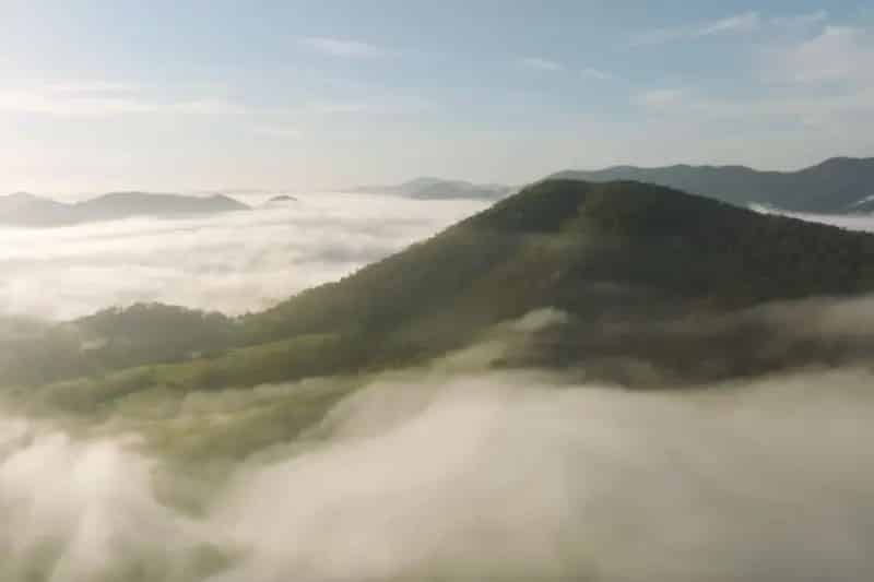 Rural property For Sale , Mid-Coast Council, New South Wales