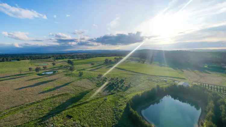 The Fields Murrumbateman Lot 31 Stage 4 Large Lot Exclusive Sanctuary