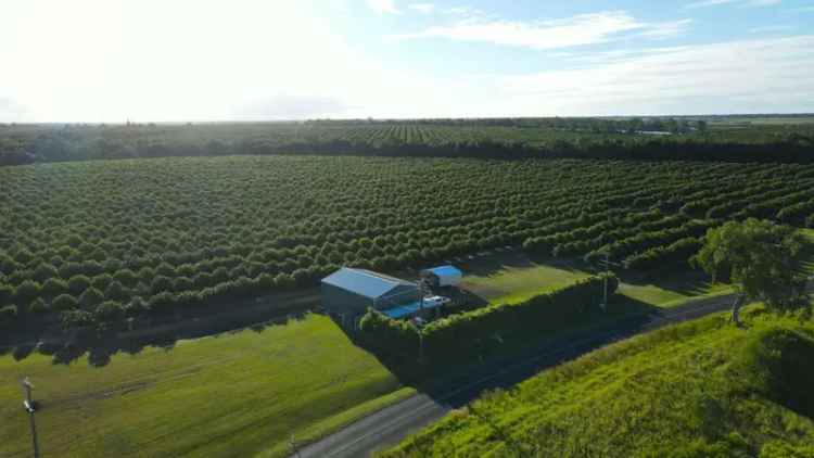 Rural For Sale in Bundaberg, Queensland