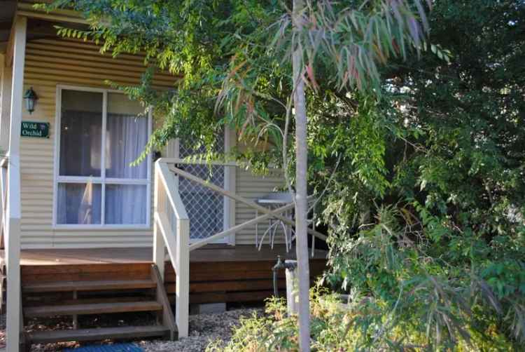 Business & Lifestyle - Padthaway Caravan Park - 1P5950