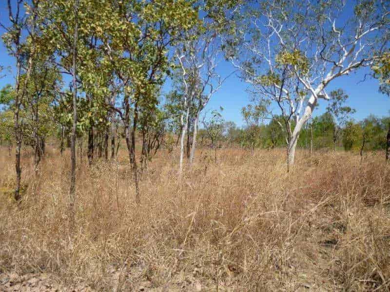 Rural property For Sale , Northern Territory