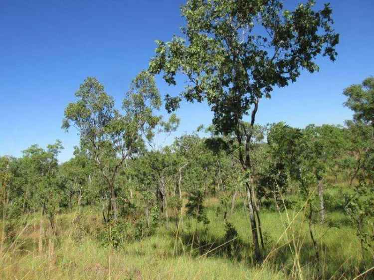 Rural For Sale in Northern Territory