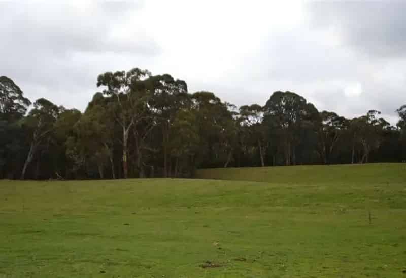 Rural property For Sale , Tumbarumba, New South Wales