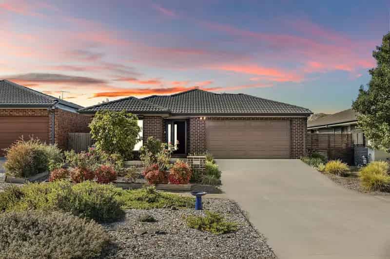 Real Estate For Sale - 144 Roden Cutler Drive - Bonner , ACT