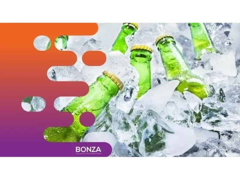 35290 Ice Wholesaler & Coolroom Business - Multiple Revenue Streams
