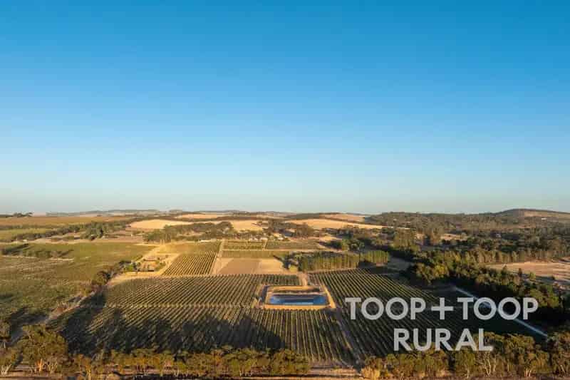 Rural property For Sale , Nuriootpa, South Australia