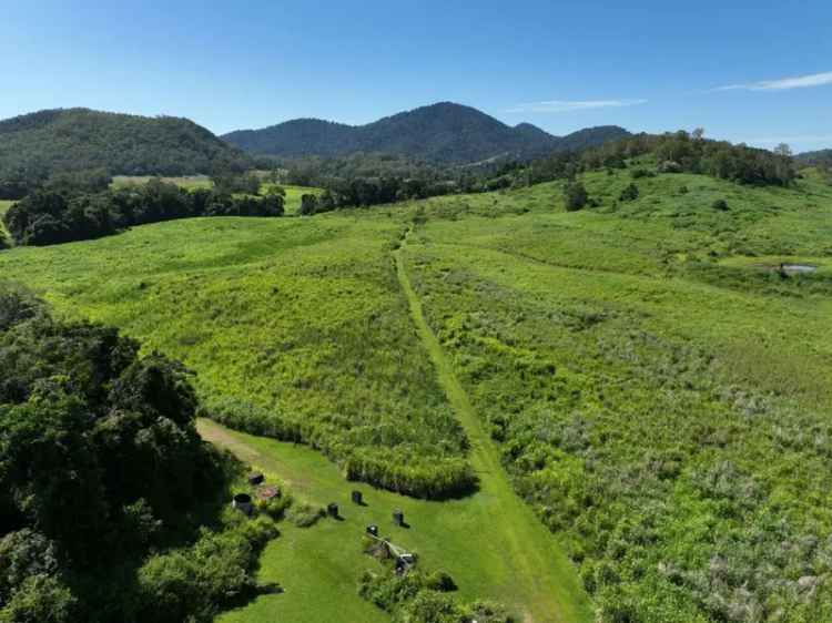 Buy Rural Property in Mount Charlton with Excellent Pastures and Water Access