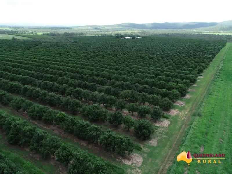 Rural property For Sale , Mareeba Shire, Queensland