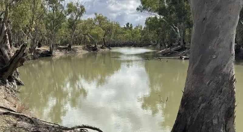 Rural property For Rent , Murray River Council, New South Wales
