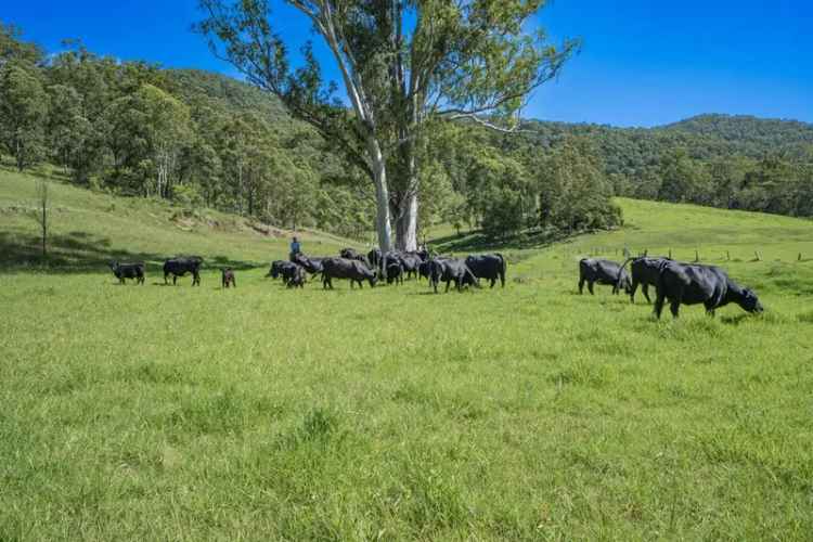 Buy rural property 102 acres Dungog with grazing land and bushland