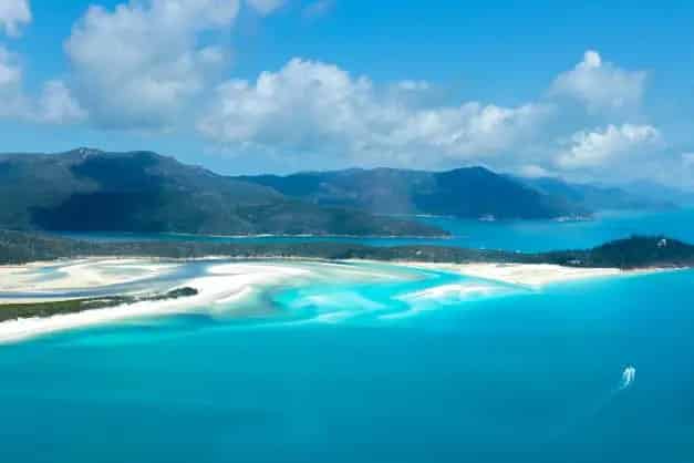 Lease Auto Electrics Business for Sale in Whitsundays with Freehold