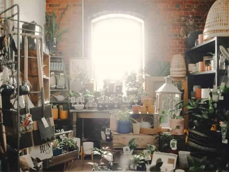 Buy Commercial Property Deloraine Floristry Established Business High Turnover