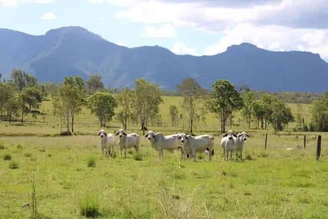 Rural property For Sale , Scenic Rim Regional, Queensland