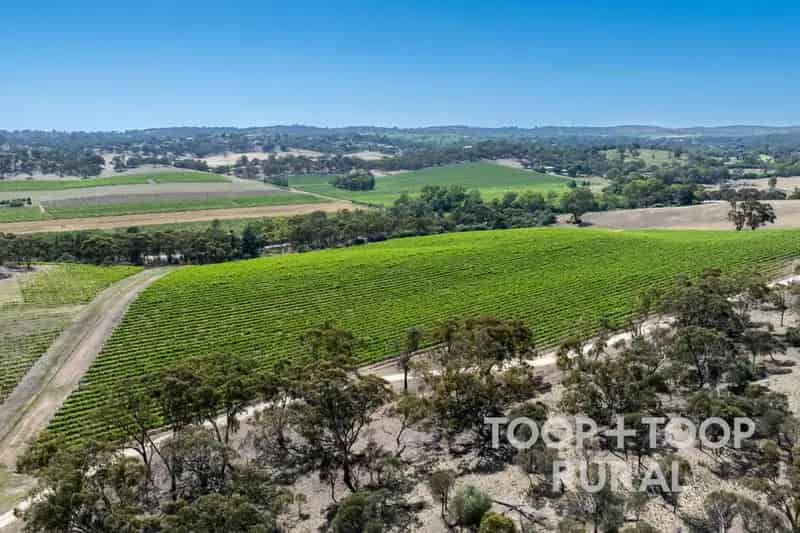 Buy Rural Property Morton's Vineyard Clare Valley with Established Vines