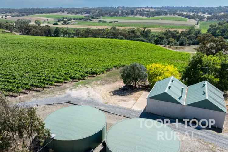 Clare Valley Vineyard - 25.5ha Established Shiraz & Riesling